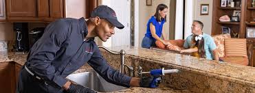 Best Pest Control for Multi-Family Homes  in Williamson, AZ