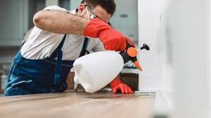 Best Pest Exclusion Services  in Williamson, AZ